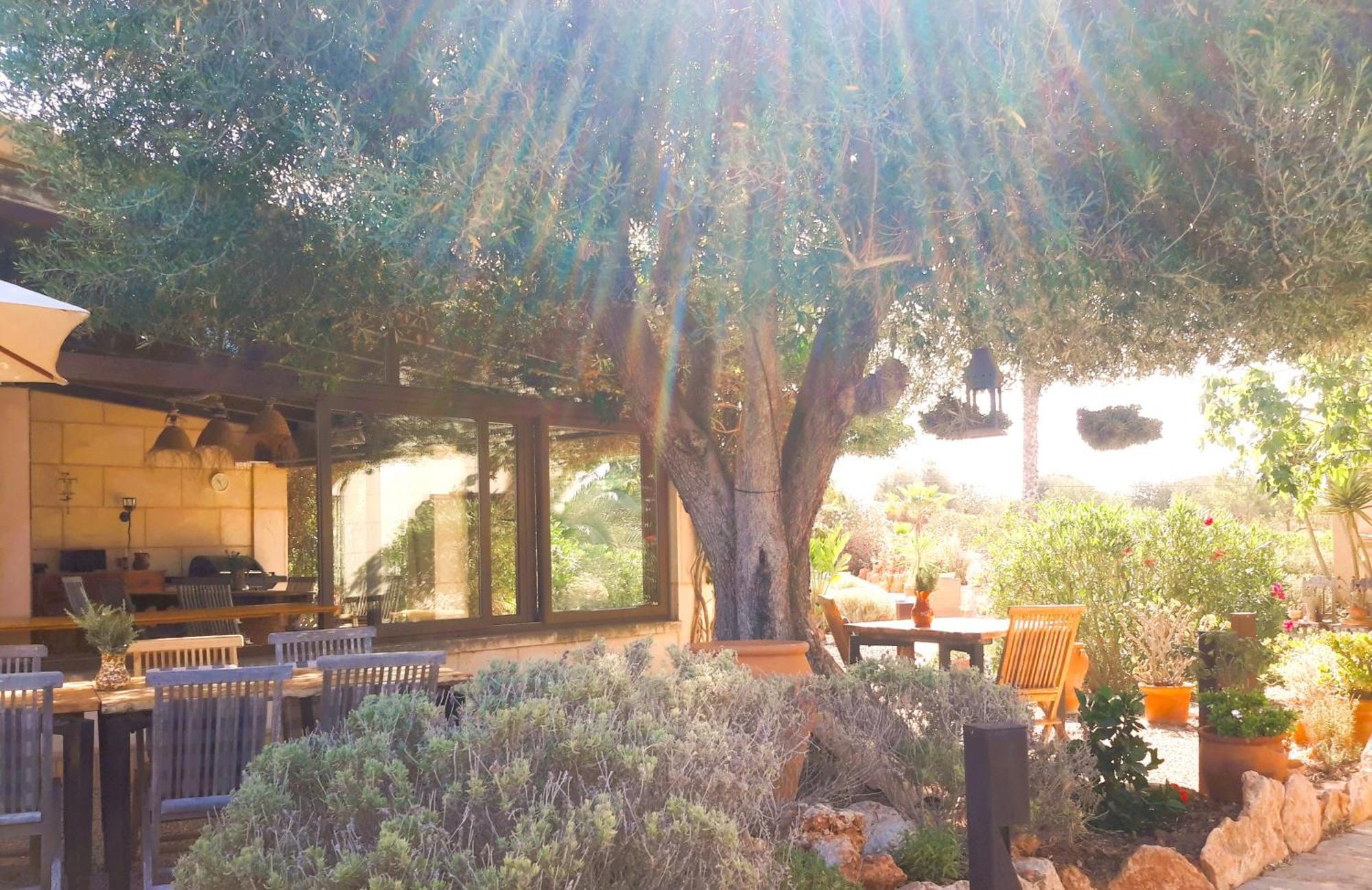 Finca Alqueria Fosca Campos  Exterior photo